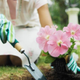 Illustration for article titled Perfect Gifts for the Gardener in Your Life